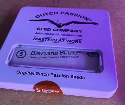 x5 Dutch Passion - Banana Blaze