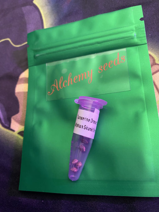 "Tangie Skunk" by The Alchemist