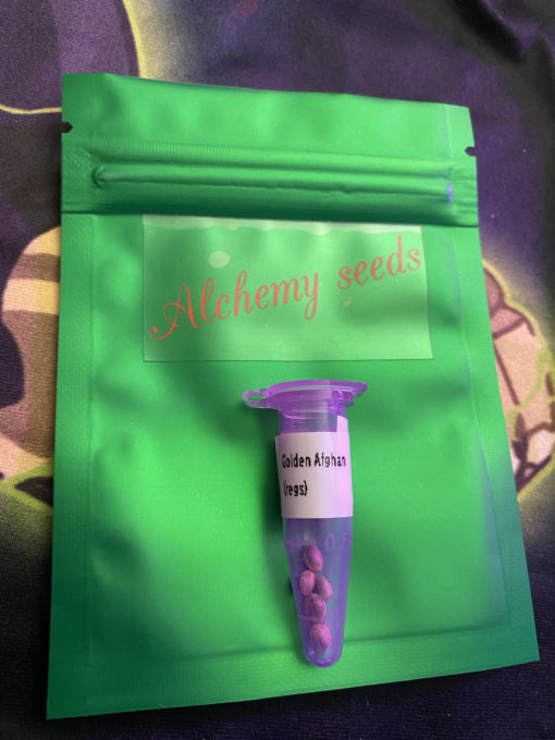 "Golden Afghan" by The Alchemist
