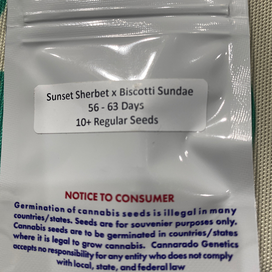 Cannarado Genetics Biscotti Sherbet - Image 2