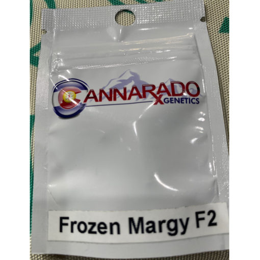 Cannarado Genetics Frozen Margy F2