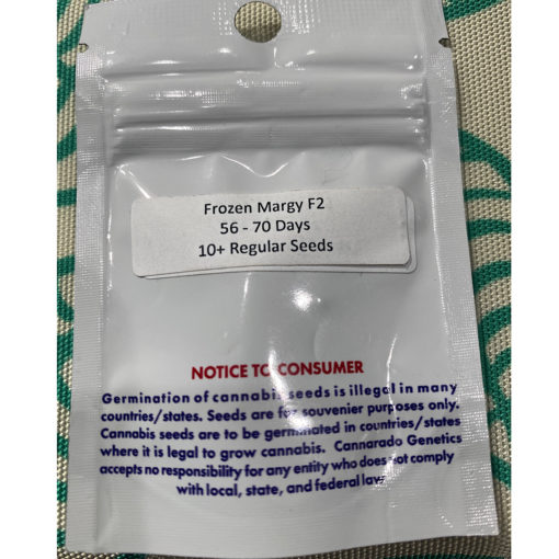 Cannarado Genetics Frozen Margy F2 - Image 2