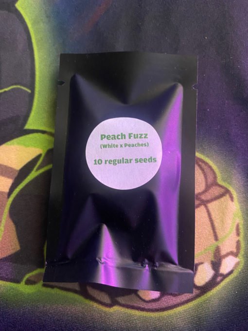 Peach Fuzz (10pk) - Greenhand Genetics