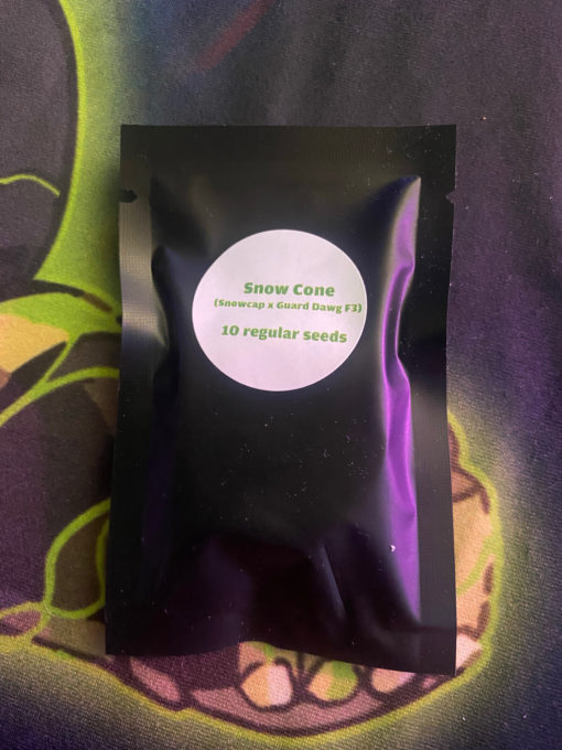 Snow Cone (10Pk) - Greenhand Genetics