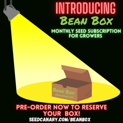 Bean Box - Monthly Cannabis seed subscription