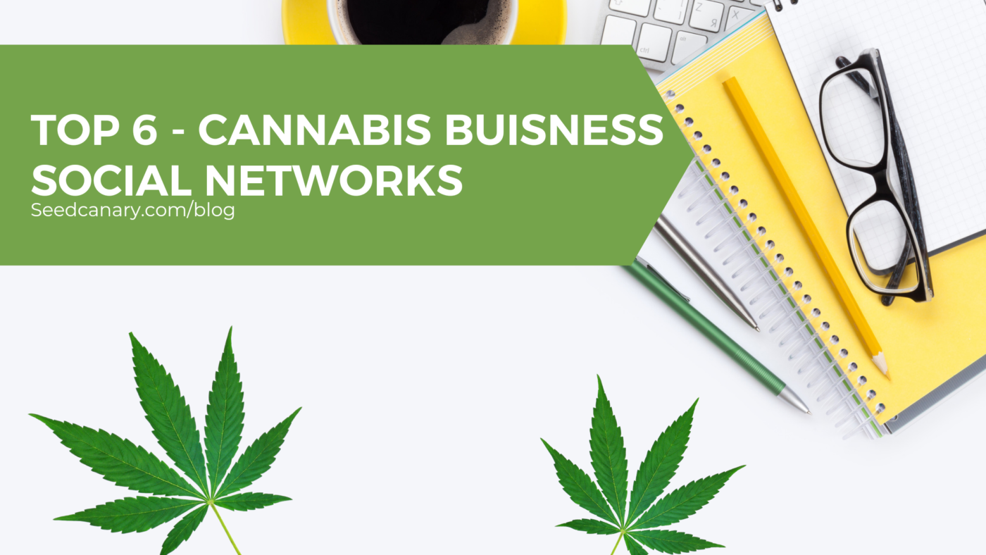 cannabis business social network platforms