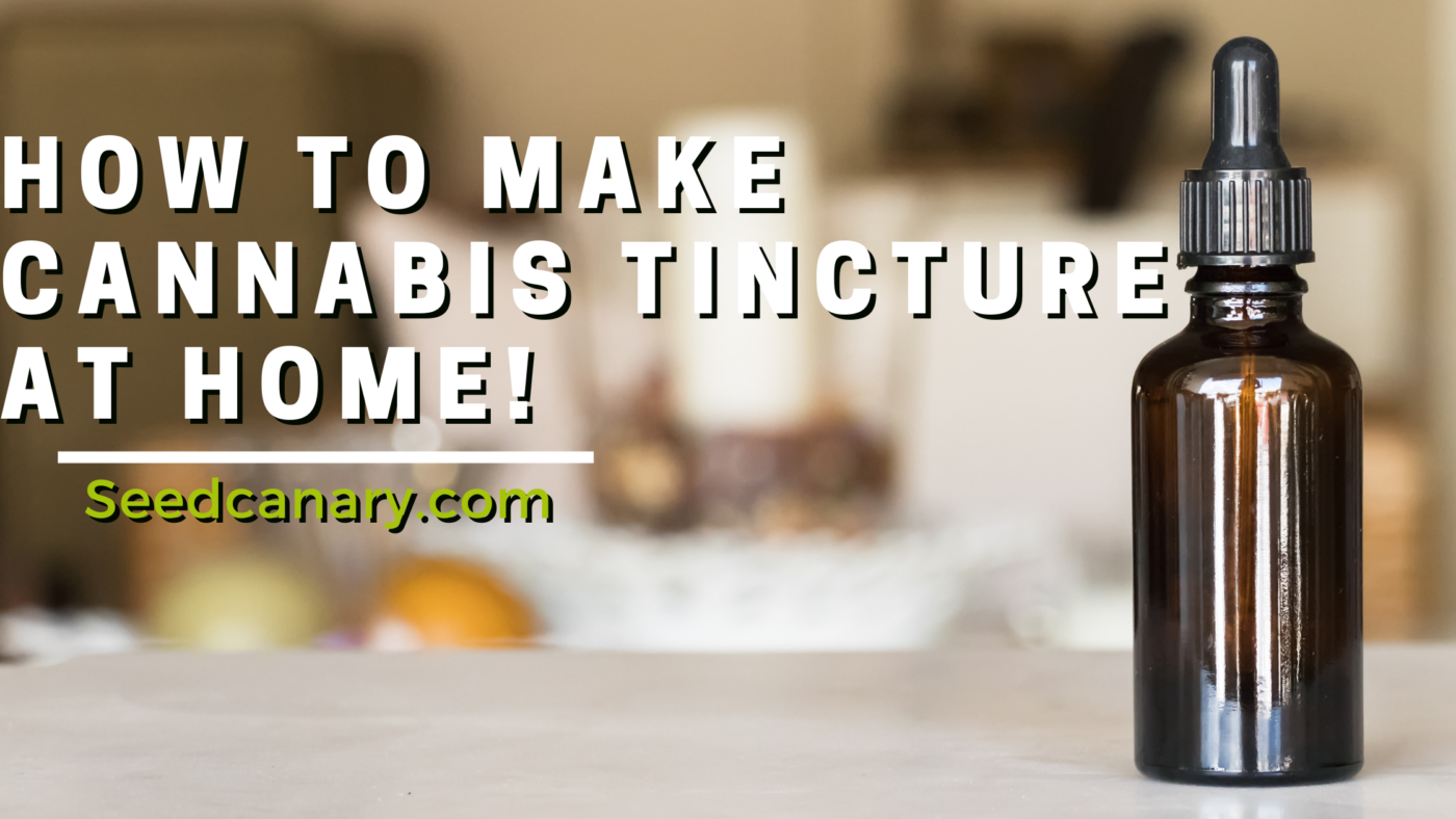 How To Make Cannabis Tincture