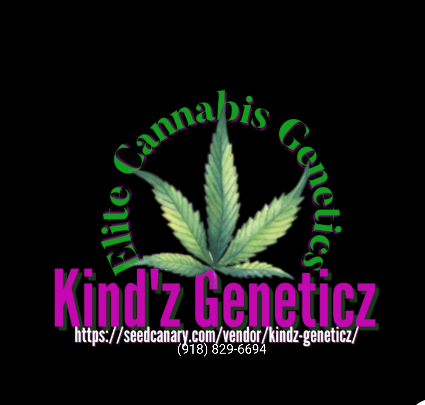 Kind'z Geneticz