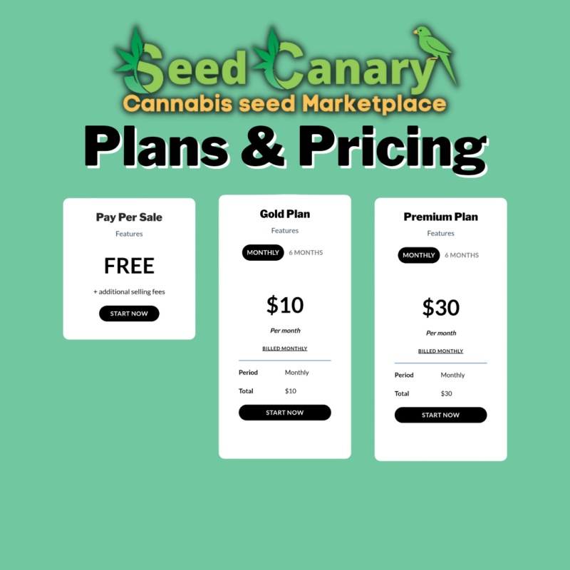 Seed Canary plans