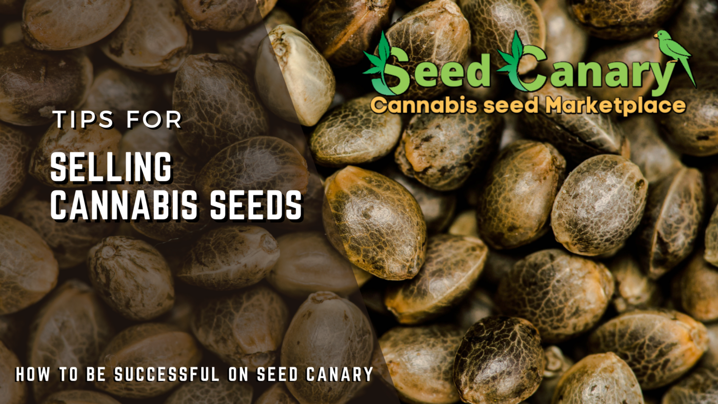 Selling Cannabis seeds