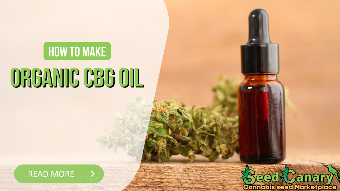 Organic CBG Oil