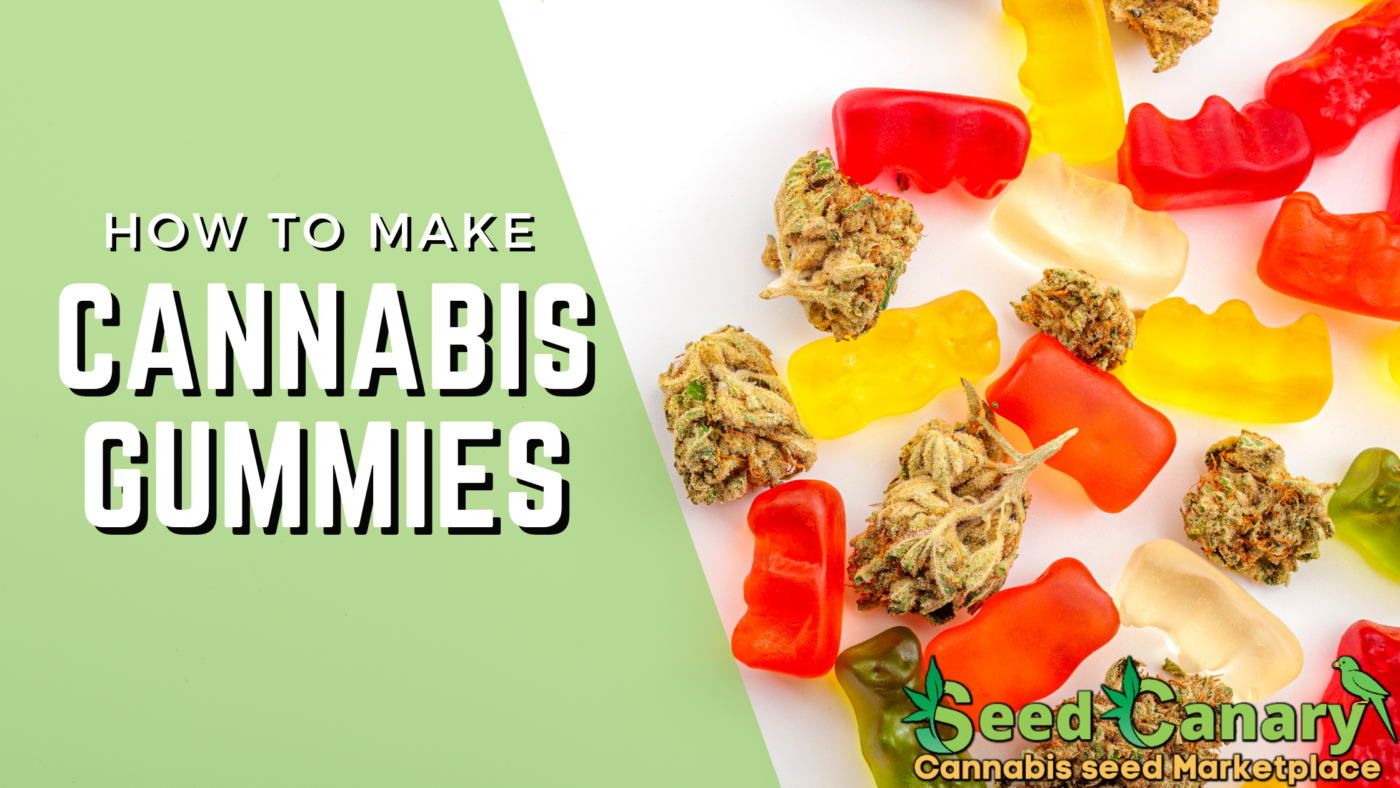 how to make cannabis gummies