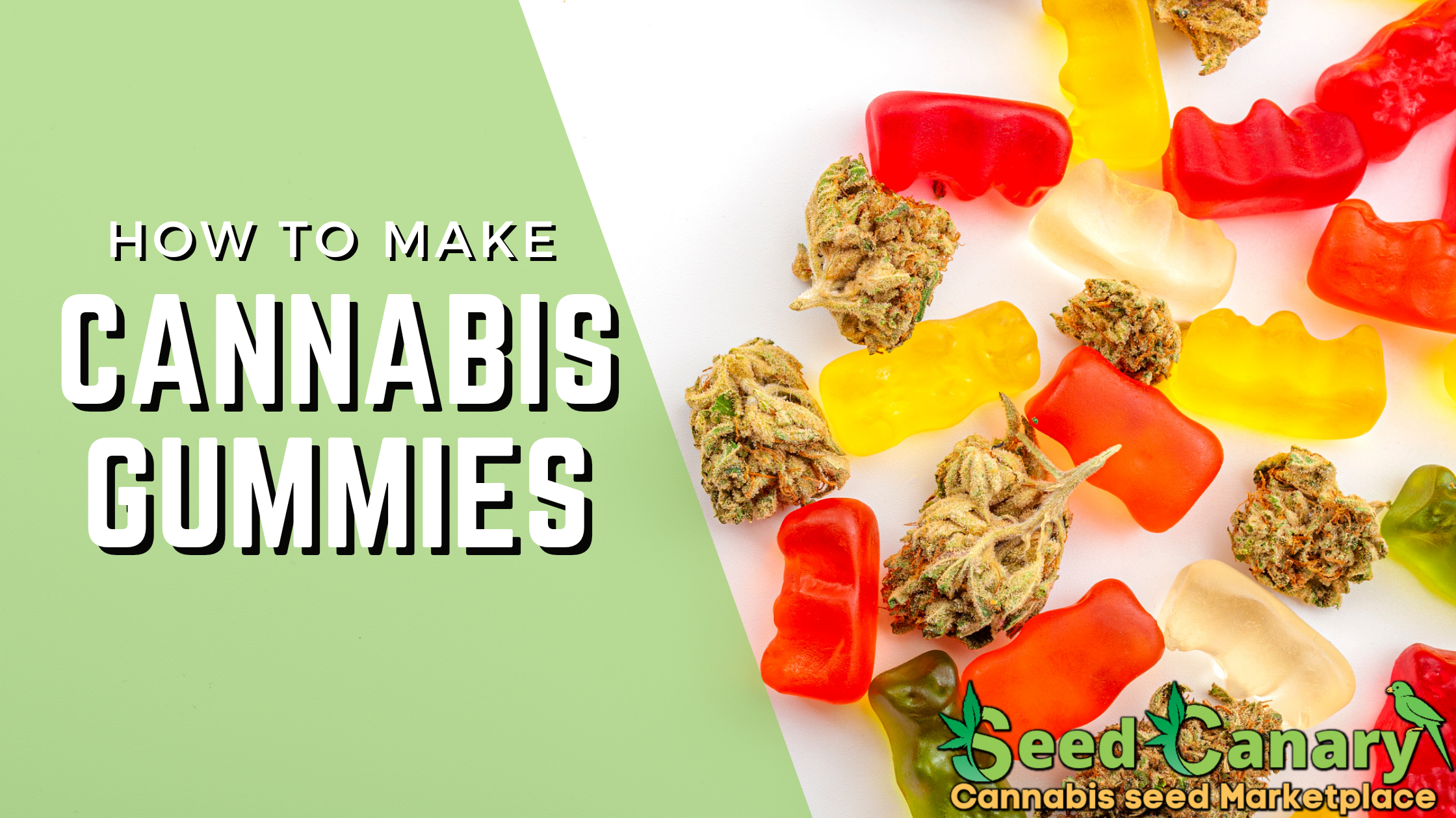 How to Make Marijuana Gummies: A Step-by-Step Guide — GHouse DC