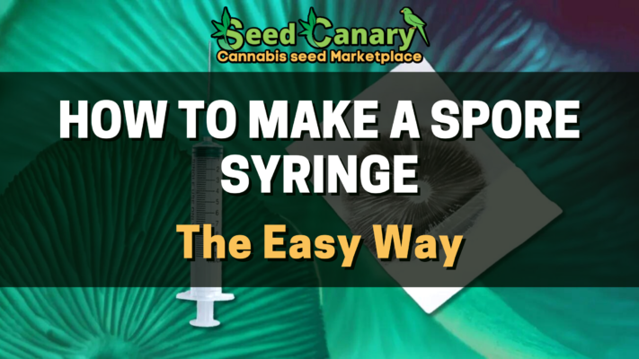 how to make a spore syringe
