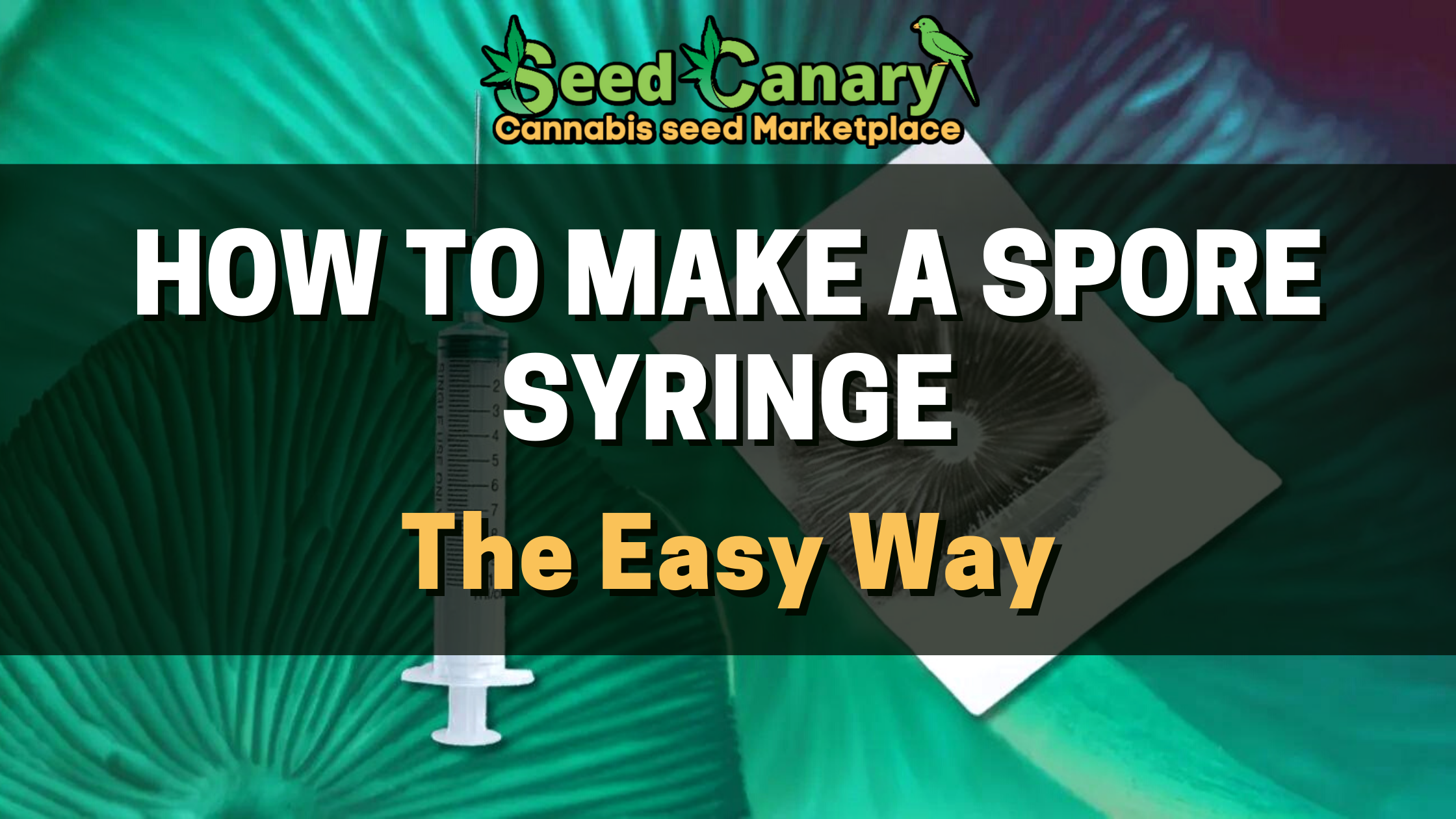 How To Make A Spore Syringe The Easy Way Seed Canary