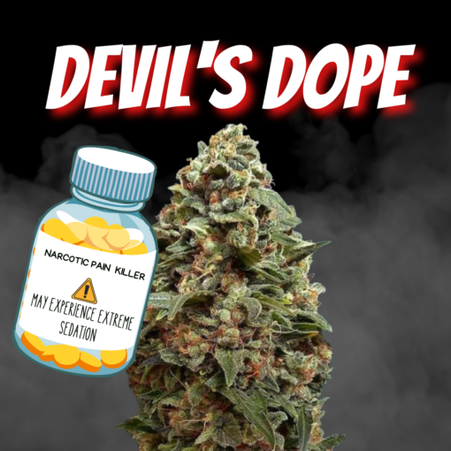 Devils Dope Cannabis seeds