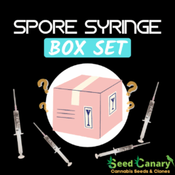 Spore Syringe "Box Set"