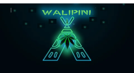 Walipini