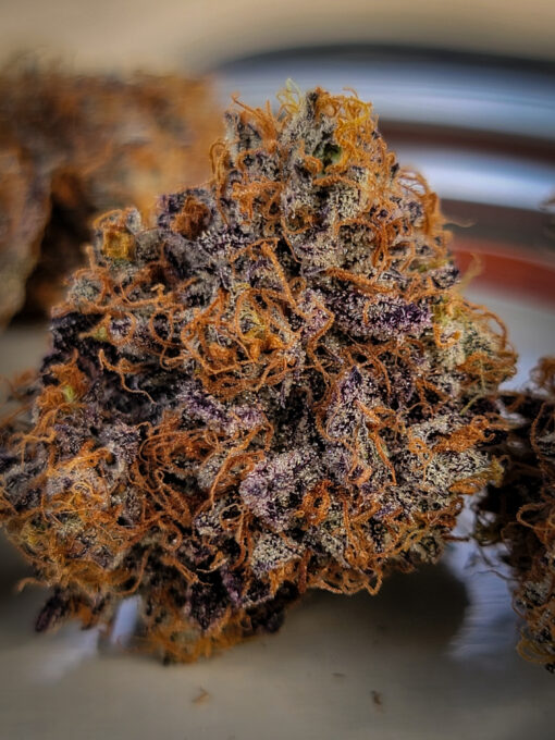 Temptation (Rambo's Cut) - Rooted Clone - Image 4