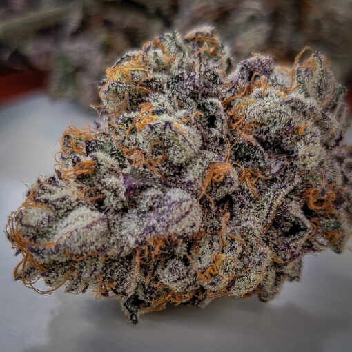 Temptation (Rambo's Cut) - Rooted Clone - Image 2