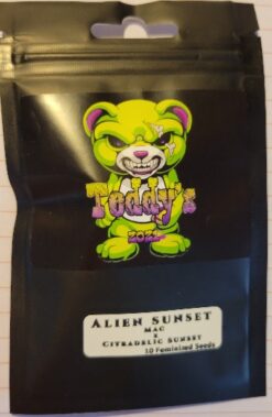Alien Sunset Regs Teddy's Genetics