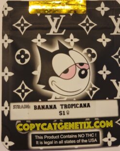 Banana Tropicana S1 Copycat Genetix ORIGINAL FEMS