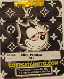 CoCo Pebbles S1 Copycat Genetix ORIGINAL FEMS