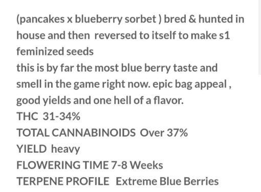 Oreo Big Stuff X BlueBerry Pancakes R1 Reversal Special Order Copycat Genetix ORIGINAL FEMS - Image 11