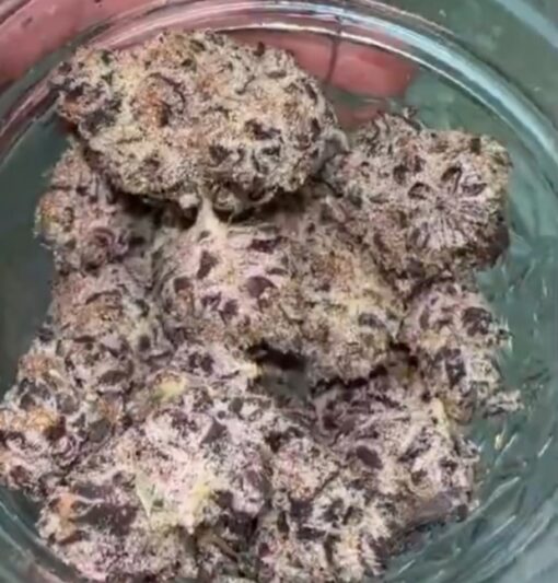 Oreo Big Stuff X BlueBerry Pancakes R1 Reversal Special Order Copycat Genetix ORIGINAL FEMS - Image 5
