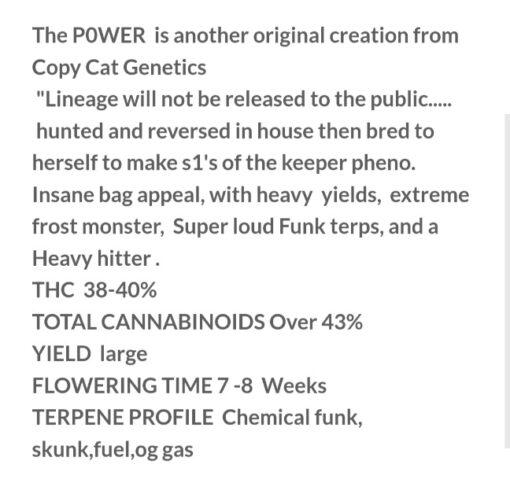 Power X Oreo Stomper R1 Reversal Special Order Copycat Genetix ORIGINAL FEMS - Image 3