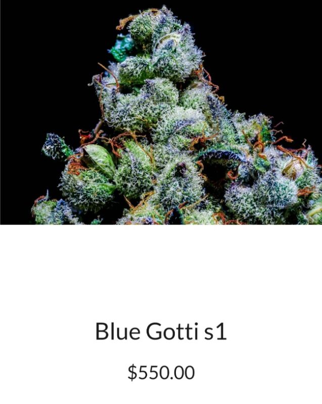 Blue Gotti X The ZaZa R1 Reversal Special Order Copycat