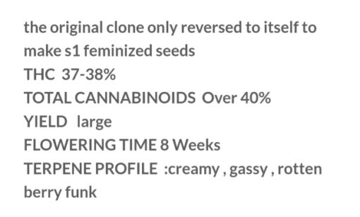 Frostiez S1 Copycat Genetix Clone Only FEMS - Image 4
