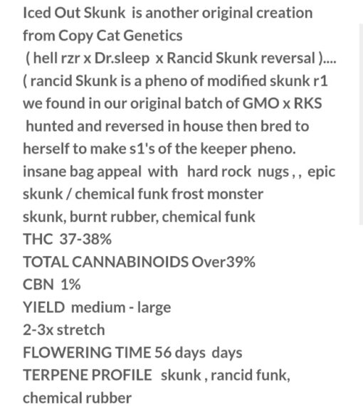 Iced Out Skunk S1 Copycat Genetix ORIGINAL FEMS - Image 3