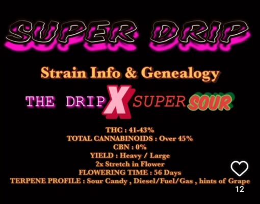 Super Drip S1 Copycat Genetix ORIGINAL FEMS - Image 3