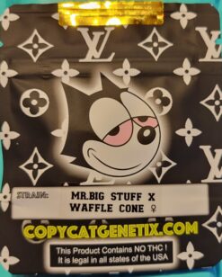 Mr Big Stuff X Waffle Cone R1 Copycat Genetix Special Order ORIGINAL FEMS