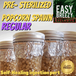 8oz Pre-Sterilized Regular Popcorn Jars