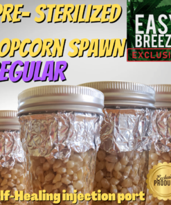 8oz Pre-Sterilized Regular Popcorn Jars