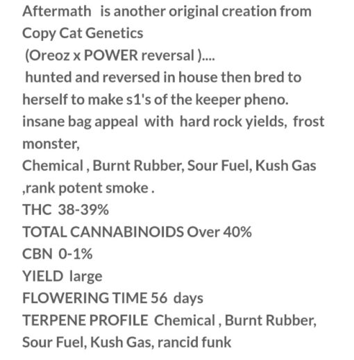 Dr Big Sleep X Aftermath R1 Reversal Copycat Genetix ORIGINAL Special Order Fems - Image 5