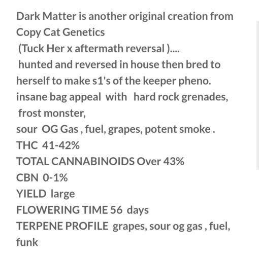 Dr Sleep X Dark Matter R1 Reversal Copycat Genetix ORIGINAL Special Order Fems - Image 5