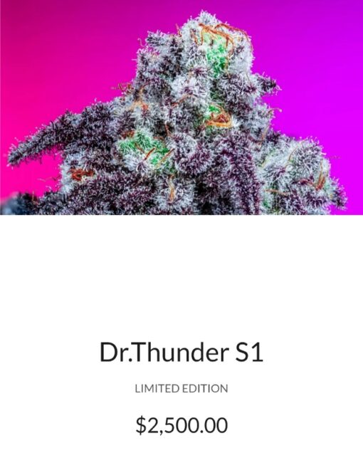 Mac 1 X Dr Thunder R1 Reversal Copycat Genetix ORIGINAL Special Order Fems - Image 3