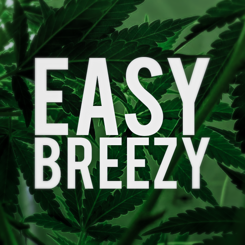 EasyBreezyGrows