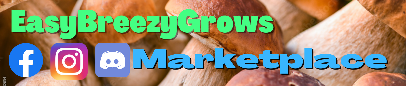EasyBreezyGrows EasyBreezyGrows