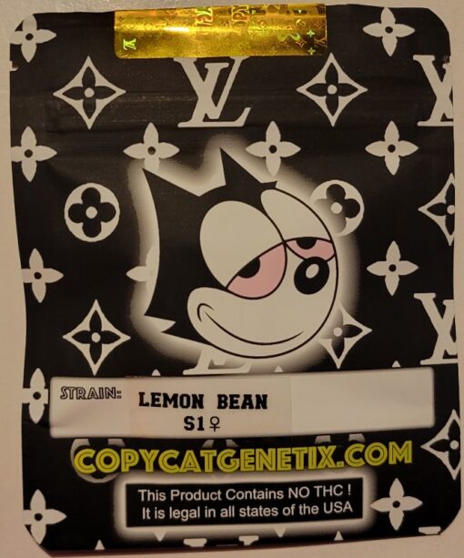 Lemon Bean S1 Copycat Genetix ORIGINAL FEMS