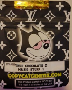 True Chocolate X Mr Big Stuff R1 Reversal Special Order Copycat Genetix ORIGINAL FEMS