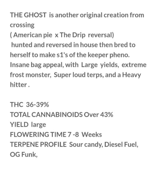 The Ghost X Power R1 Reversal Special Order Copycat Genetix ORIGINAL FEMS - Image 3