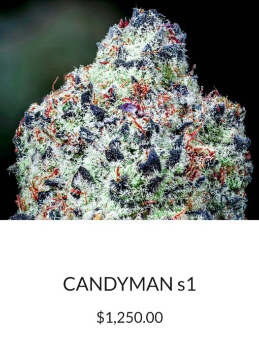 Power X Candyman R1 Reversal Special Order Copycat Genetix ORIGINAL FEMS - Image 6