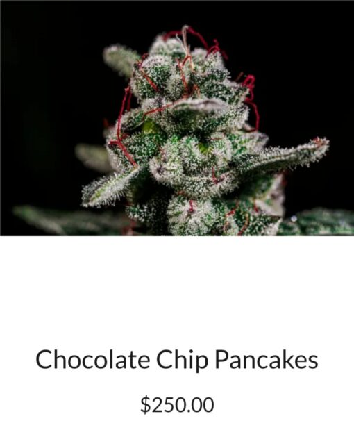 N3rdz X Chocolate Chip Pancakes R1 Reversal Special Order Copycat Genetix ORIGINAL FEMS - Image 10