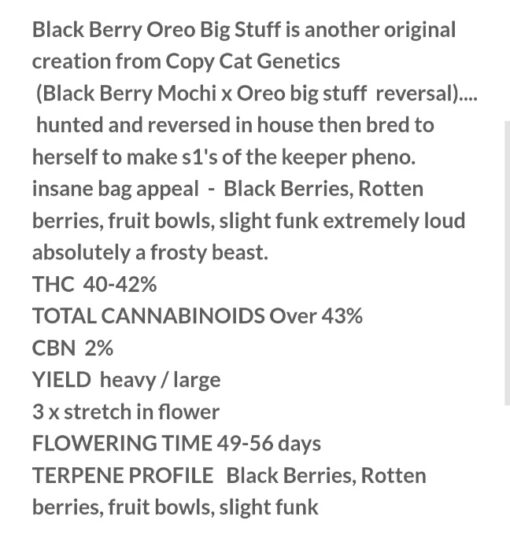 Black Berry Oreo Big Stuff S1 Copycat Genetix ORIGINAL FEMS - Image 4