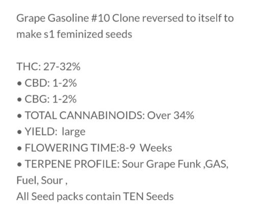 True Chocolate X Grape Gasoline #10 R1 Reversal Copycat Genetix Special Order ORIGINAL FEMS - Image 3
