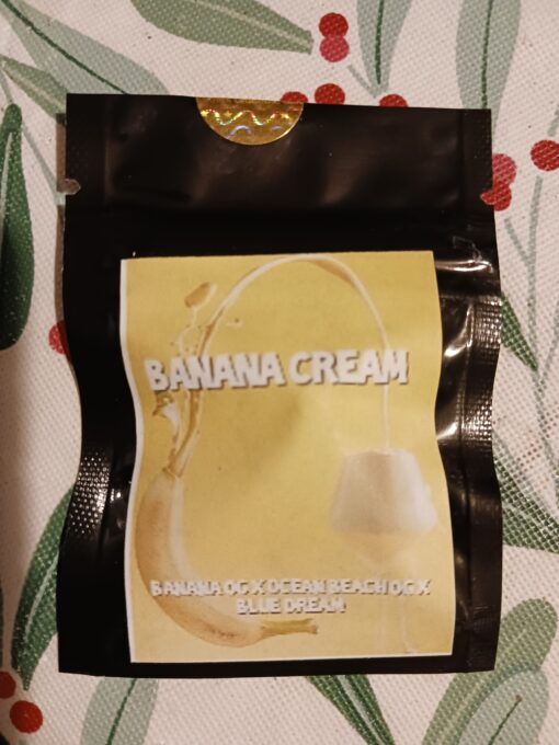 Banana cream